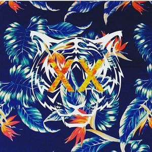 Meet your Posher, Alvin dusty